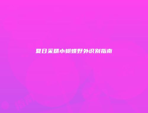 夏日采精小蝴蝶野外识别指南