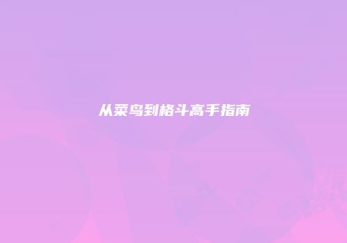 从菜鸟到格斗高手指南