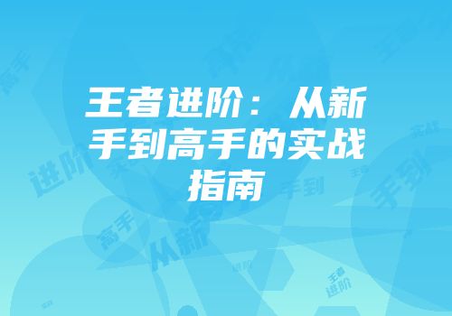 王者进阶：从新手到高手的实战指南