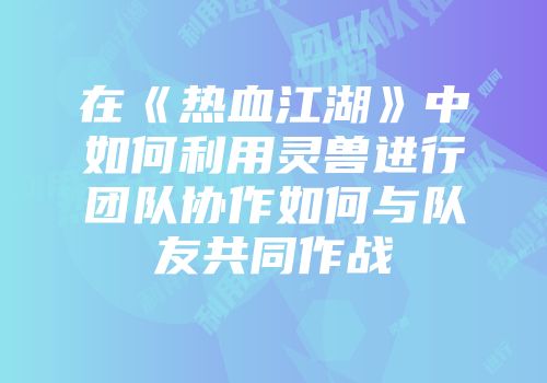 在《热血江湖》中如何利用灵兽进行团队协作如何与队友共同作战