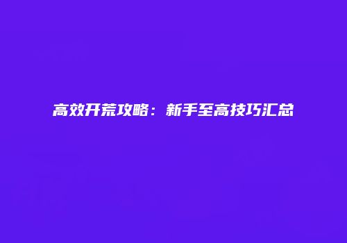 高效开荒攻略：新手至高技巧汇总