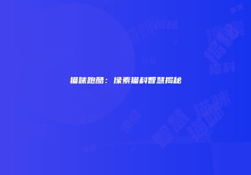 猫咪跑酷：像素猫科智慧揭秘