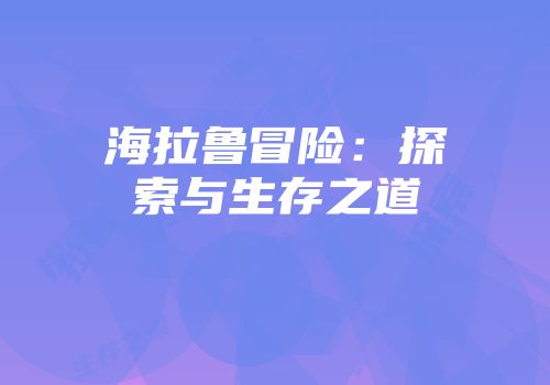 海拉鲁冒险：探索与生存之道