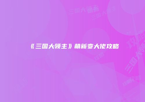 《三国大领主》萌新变大佬攻略