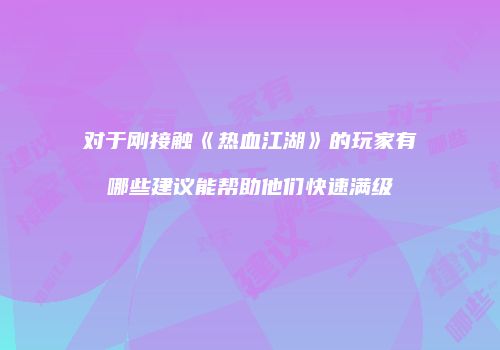 对于刚接触《热血江湖》的玩家有哪些建议能帮助他们快速满级
