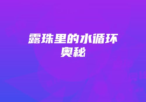 露珠里的水循环奥秘