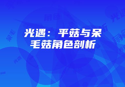 光遇：平菇与呆毛菇角色剖析