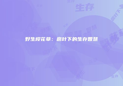 野生樱花草：腐叶下的生存智慧