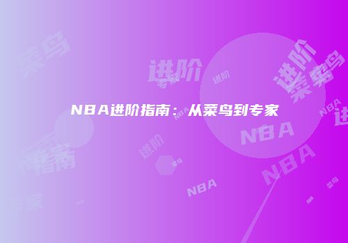 NBA进阶指南：从菜鸟到专家