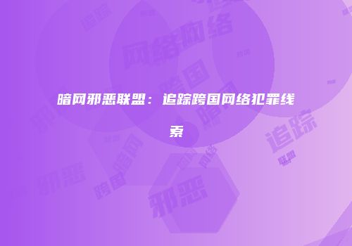 暗网邪恶联盟：追踪跨国网络犯罪线索