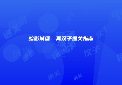暗影城堡：真汉子通关指南
