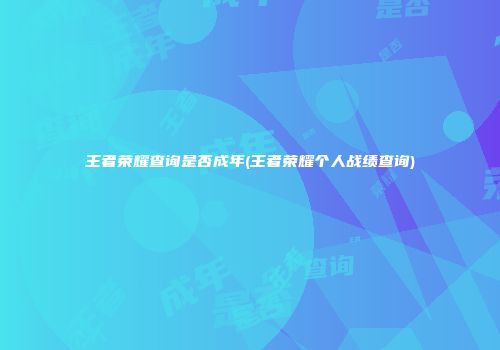 王者荣耀查询是否成年(王者荣耀个人战绩查询)