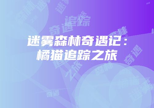 迷雾森林奇遇记：橘猫追踪之旅