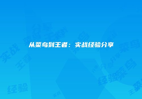 从菜鸟到王者：实战经验分享