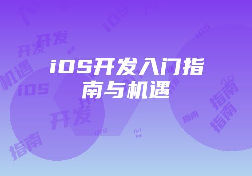 iOS开发入门指南与机遇