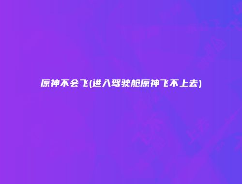原神不会飞(进入驾驶舱原神飞不上去)