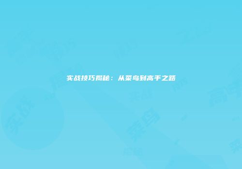实战技巧揭秘：从菜鸟到高手之路