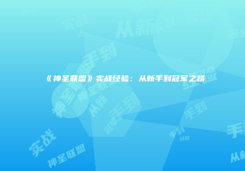 《神圣联盟》实战经验：从新手到冠军之路