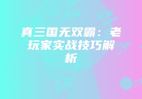 真三国无双霸：老玩家实战技巧解析