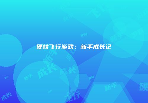 硬核飞行游戏：新手成长记