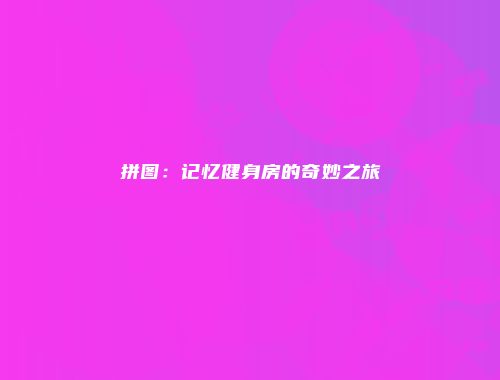 拼图：记忆健身房的奇妙之旅
