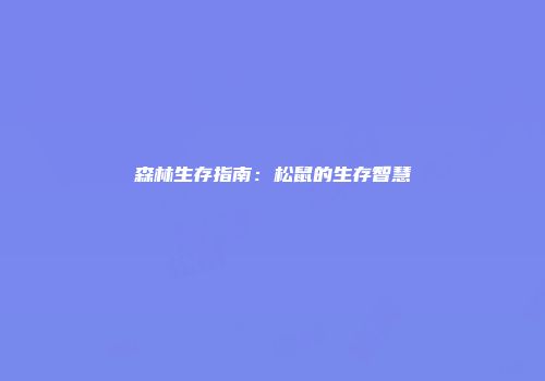 森林生存指南：松鼠的生存智慧