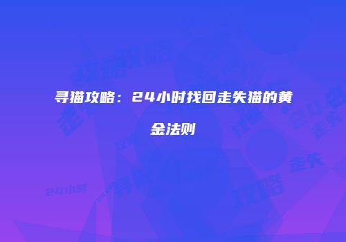 寻猫攻略：24小时找回走失猫的黄金法则
