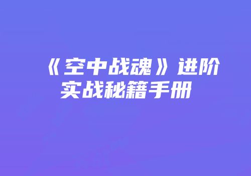 《空中战魂》进阶实战秘籍手册