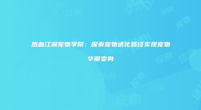 热血江湖宠物学院：探索宠物进化路径实现宠物华丽变身
