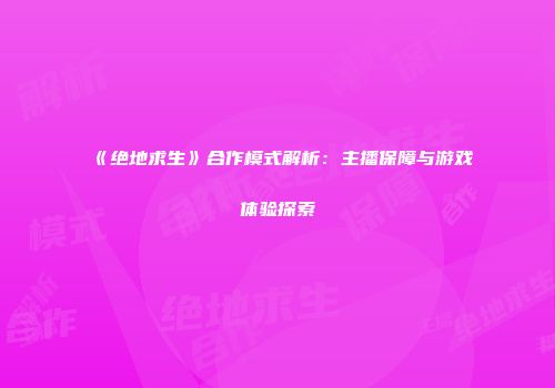 《绝地求生》合作模式解析：主播保障与游戏体验探索