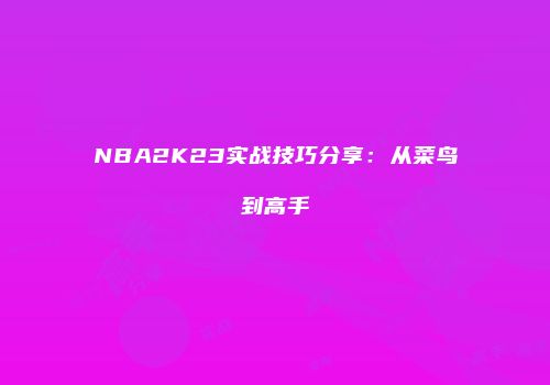 NBA2K23实战技巧分享：从菜鸟到高手