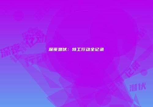 深夜潜伏：特工行动全记录
