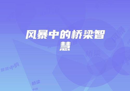 风暴中的桥梁智慧