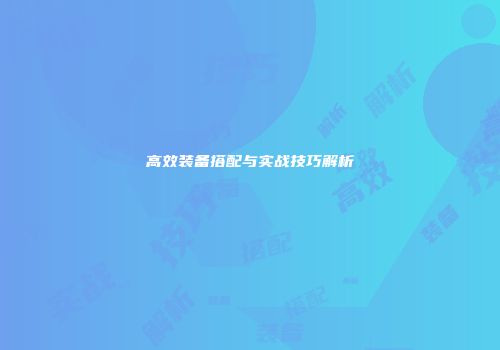 高效装备搭配与实战技巧解析