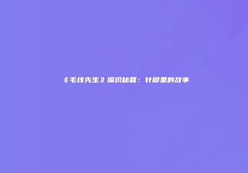 《毛线先生》编织秘籍：针脚里的故事