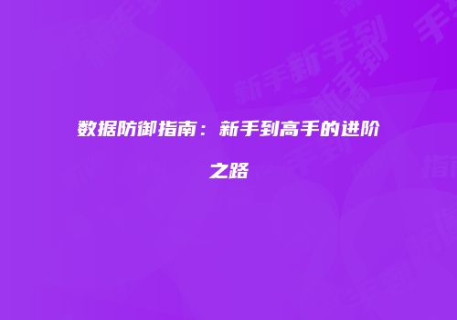 数据防御指南：新手到高手的进阶之路