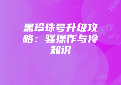 黑珍珠号升级攻略：骚操作与冷知识