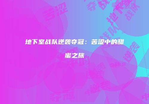 地下室战队逆袭夺冠：苦涩中的甜蜜之旅