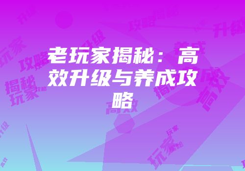 老玩家揭秘：高效升级与养成攻略
