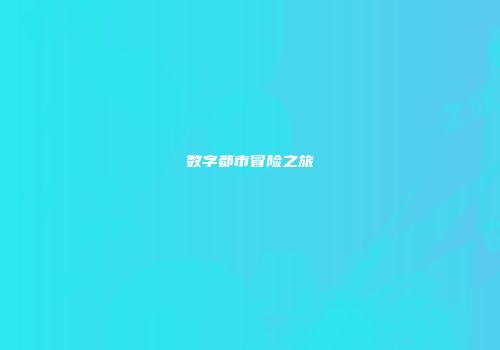 数字都市冒险之旅