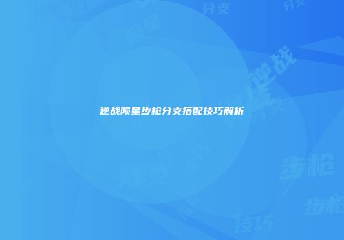 逆战陨星步枪分支搭配技巧解析