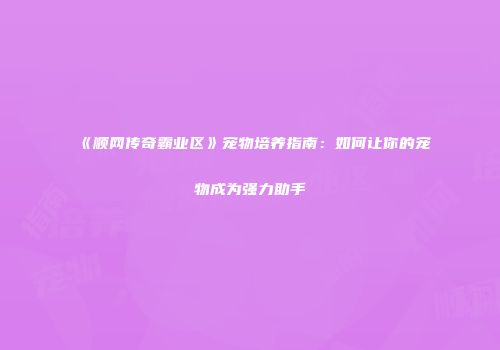 《顺网传奇霸业区》宠物培养指南：如何让你的宠物成为强力助手