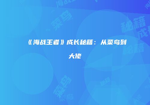 《海战王者》成长秘籍：从菜鸟到大佬