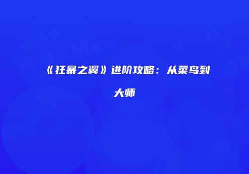 《狂暴之翼》进阶攻略：从菜鸟到大师