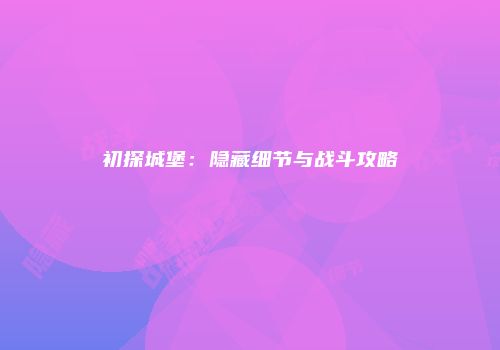 初探城堡：隐藏细节与战斗攻略