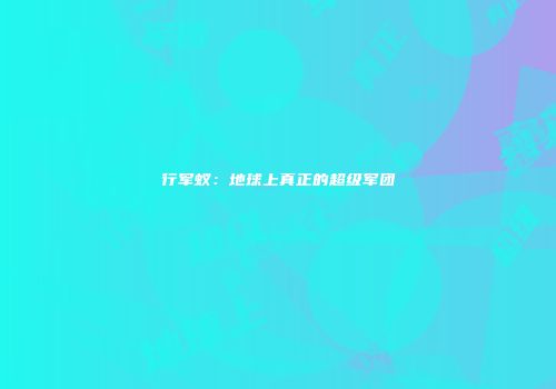 行军蚁：地球上真正的超级军团
