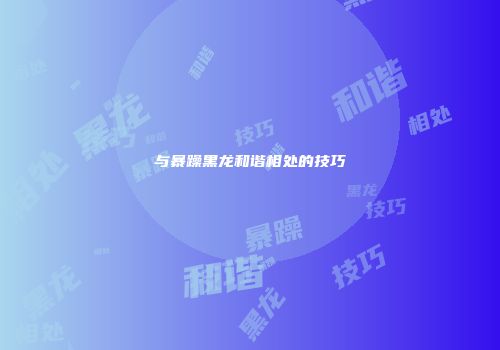 与暴躁黑龙和谐相处的技巧