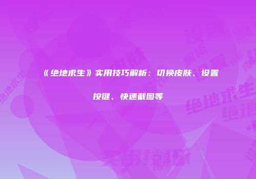 《绝地求生》实用技巧解析：切换皮肤、设置按键、快速截图等