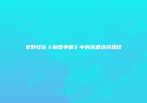 女野怪在《魔兽争霸》中的装备选择建议