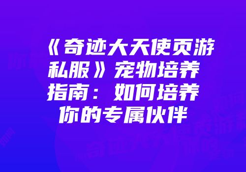 《奇迹大天使页游私服》宠物培养指南：如何培养你的专属伙伴